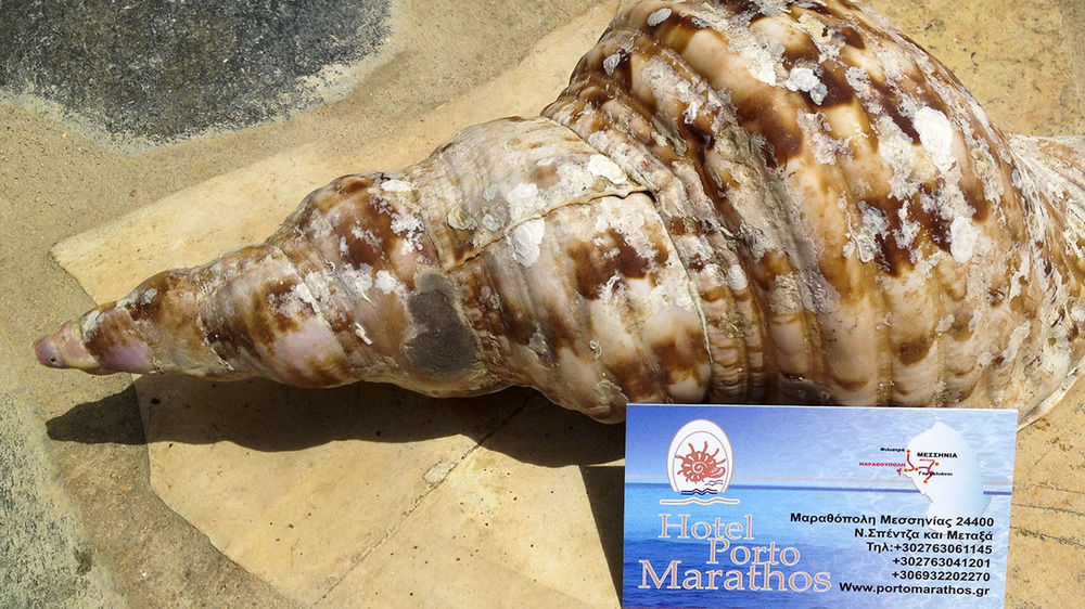 马拉松波利斯 Porto Marathos酒店 外观 照片